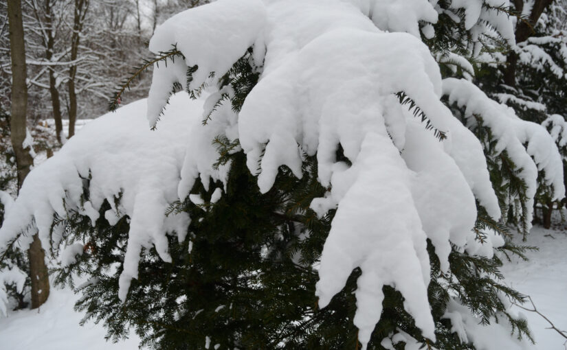 Nachhilfe in den Winterferien